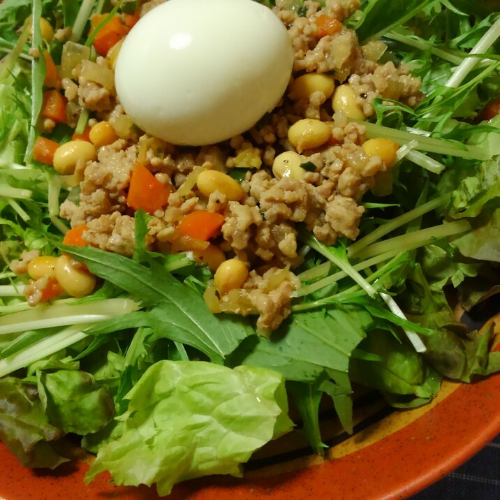 ダイエットにも♪ サラダで食べるガパオ